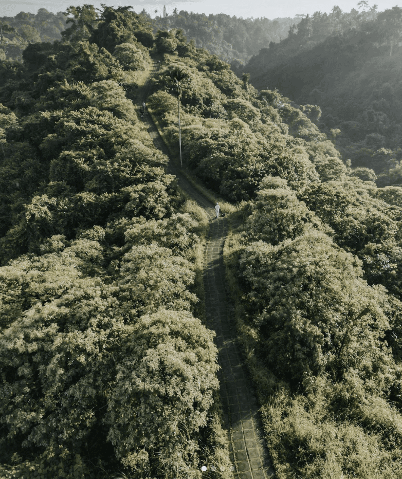 Two people working at desks in a bright, plant-filled office.