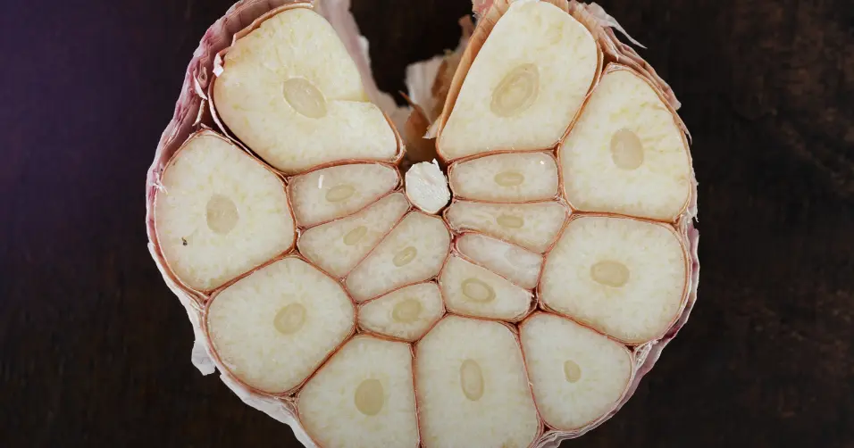 Autophagy is the body’s process of cleaning out damaged cells for renewal.