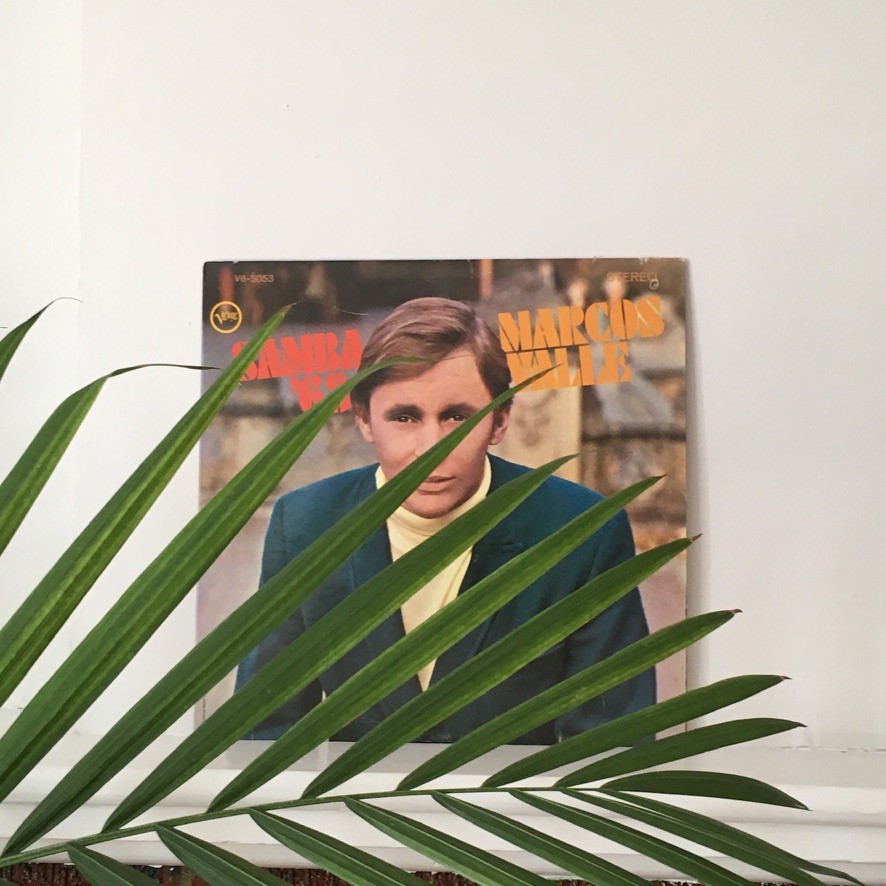 A green butterfly rests on a flower.