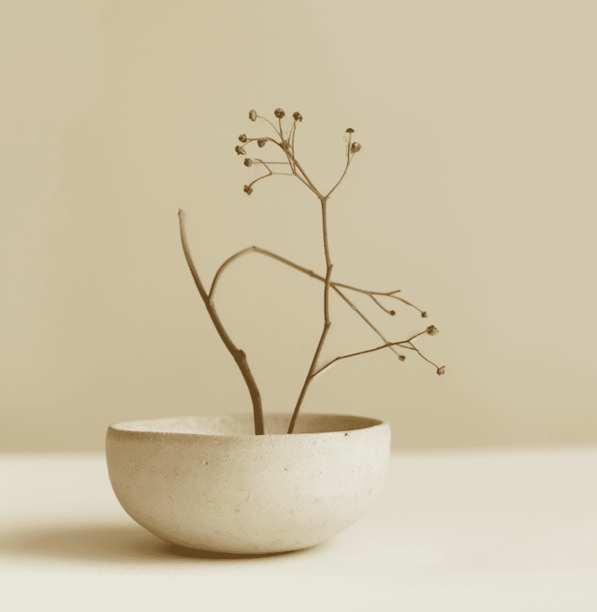 Minimalist dried branch in a simple beige ceramic bowl on a neutral background.
