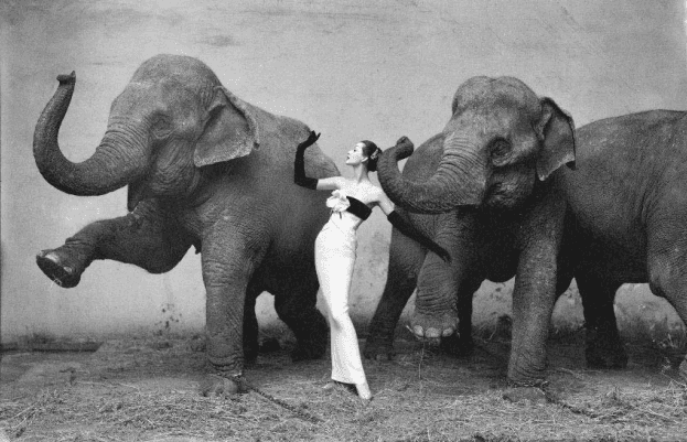 Richard Avedon