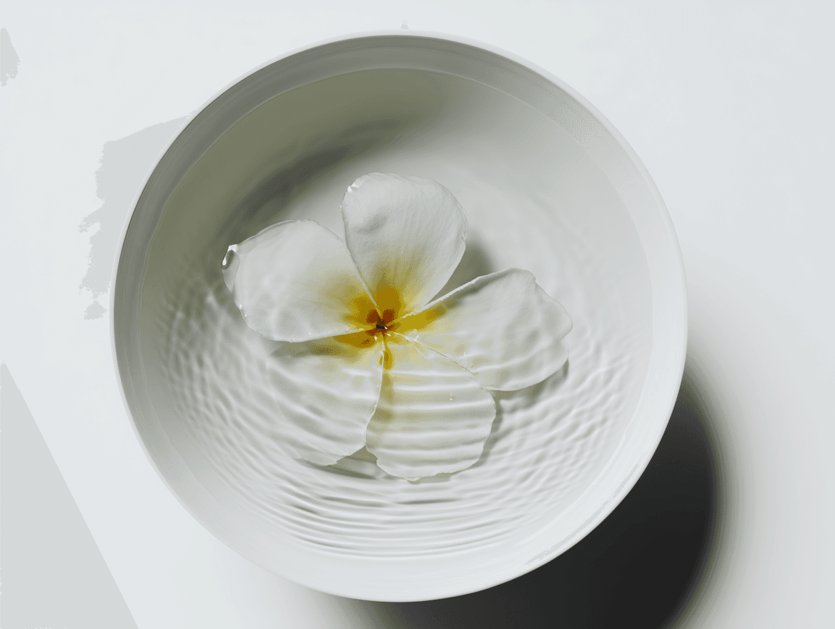 Floating white flower