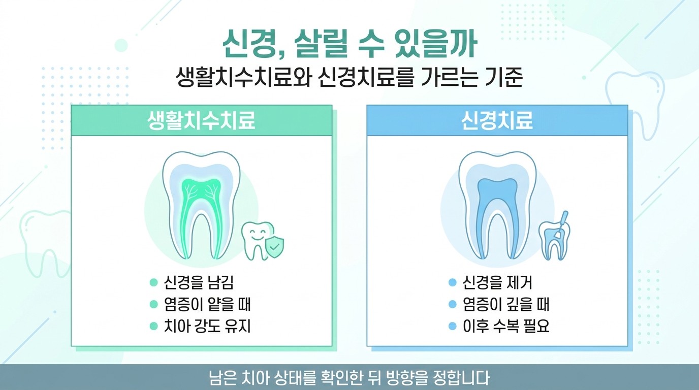 생활치수치료와 신경치료를 가르는 기준 비교 인포그래픽