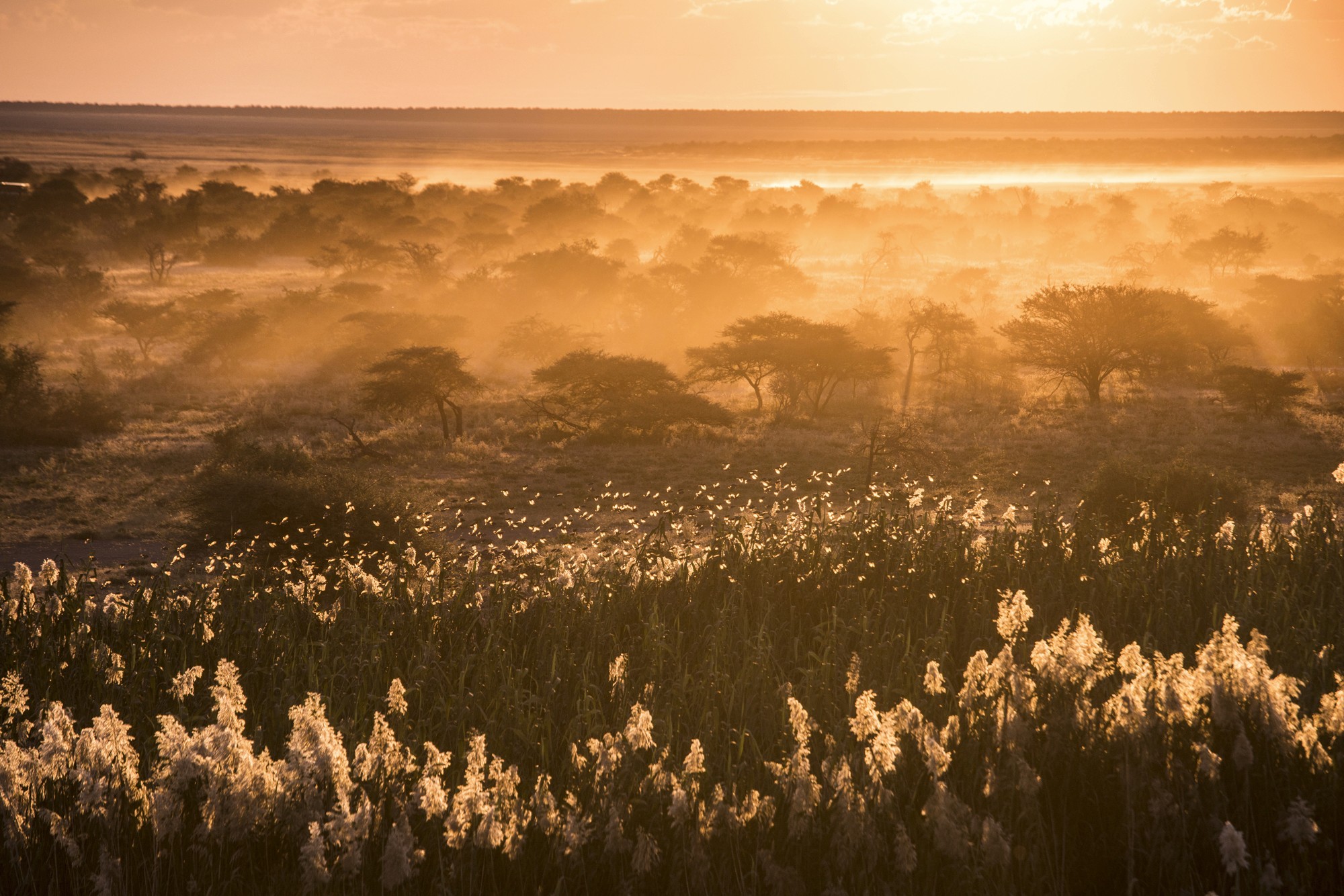 Botswana sunset