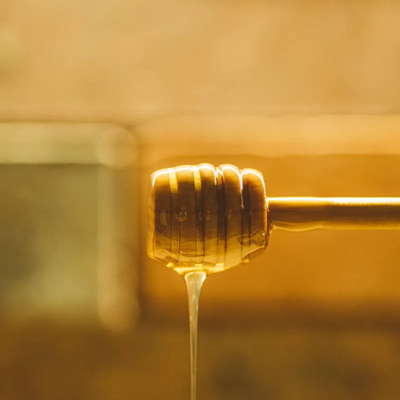 Természet adta egészség