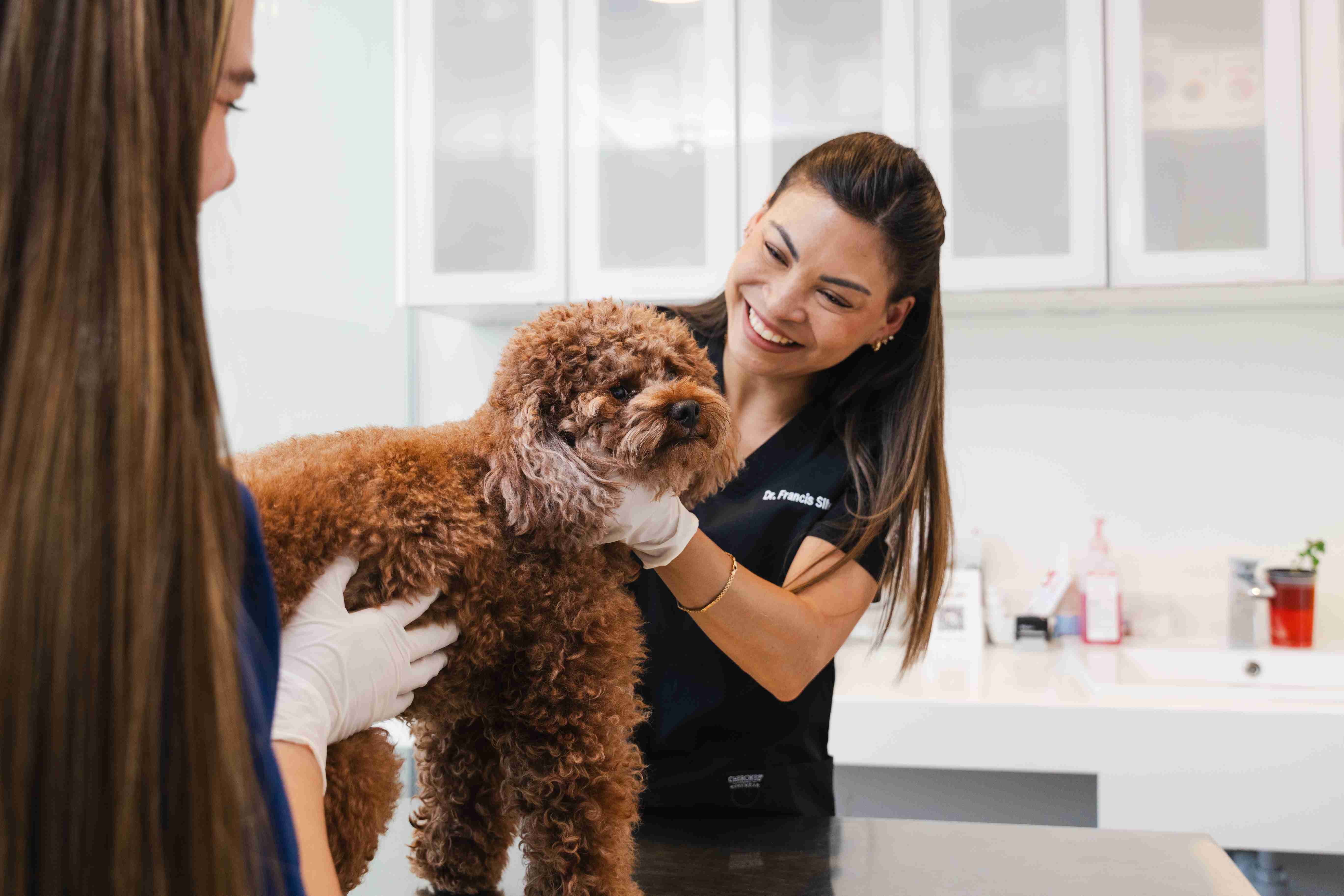 The Noble Veterinary Clinics team at our JLT clinic happily welcomes pets and their families