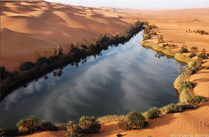 Agriculture & Land, Food & Water Security