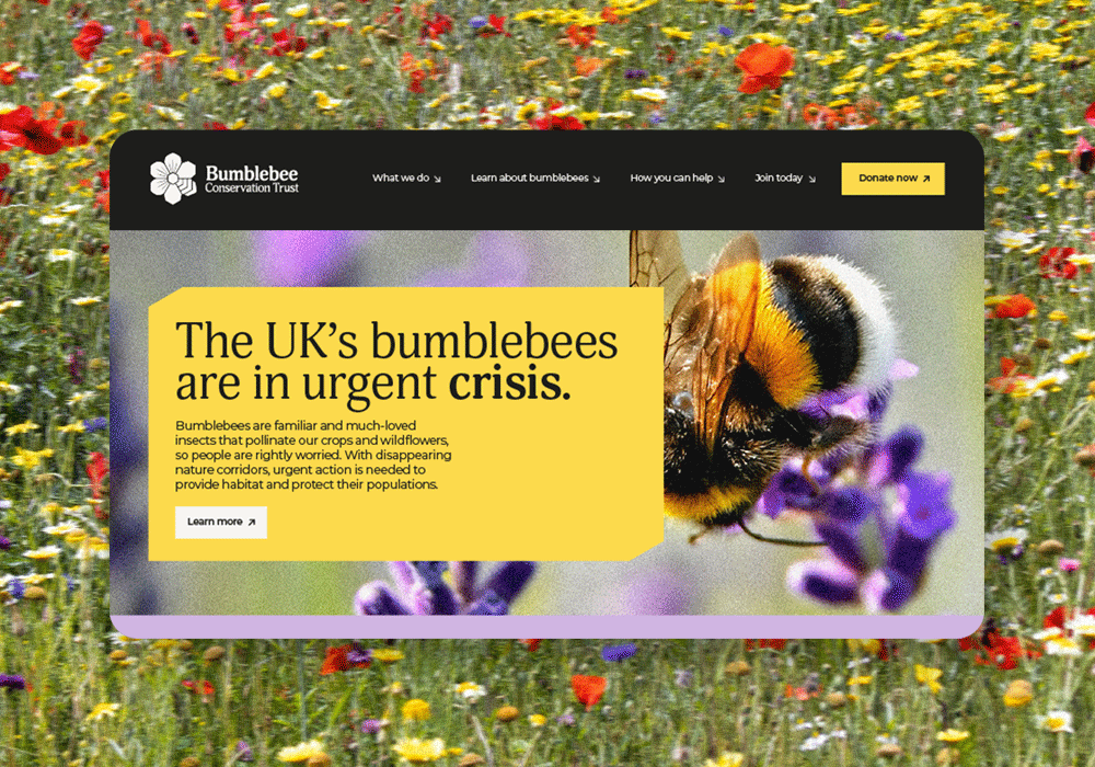 Website mockup flicking through