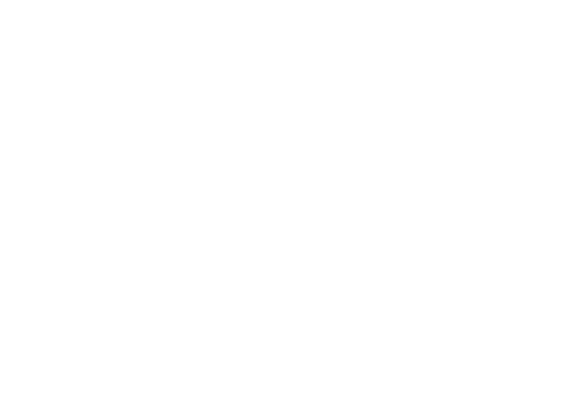 Twitter Icon 