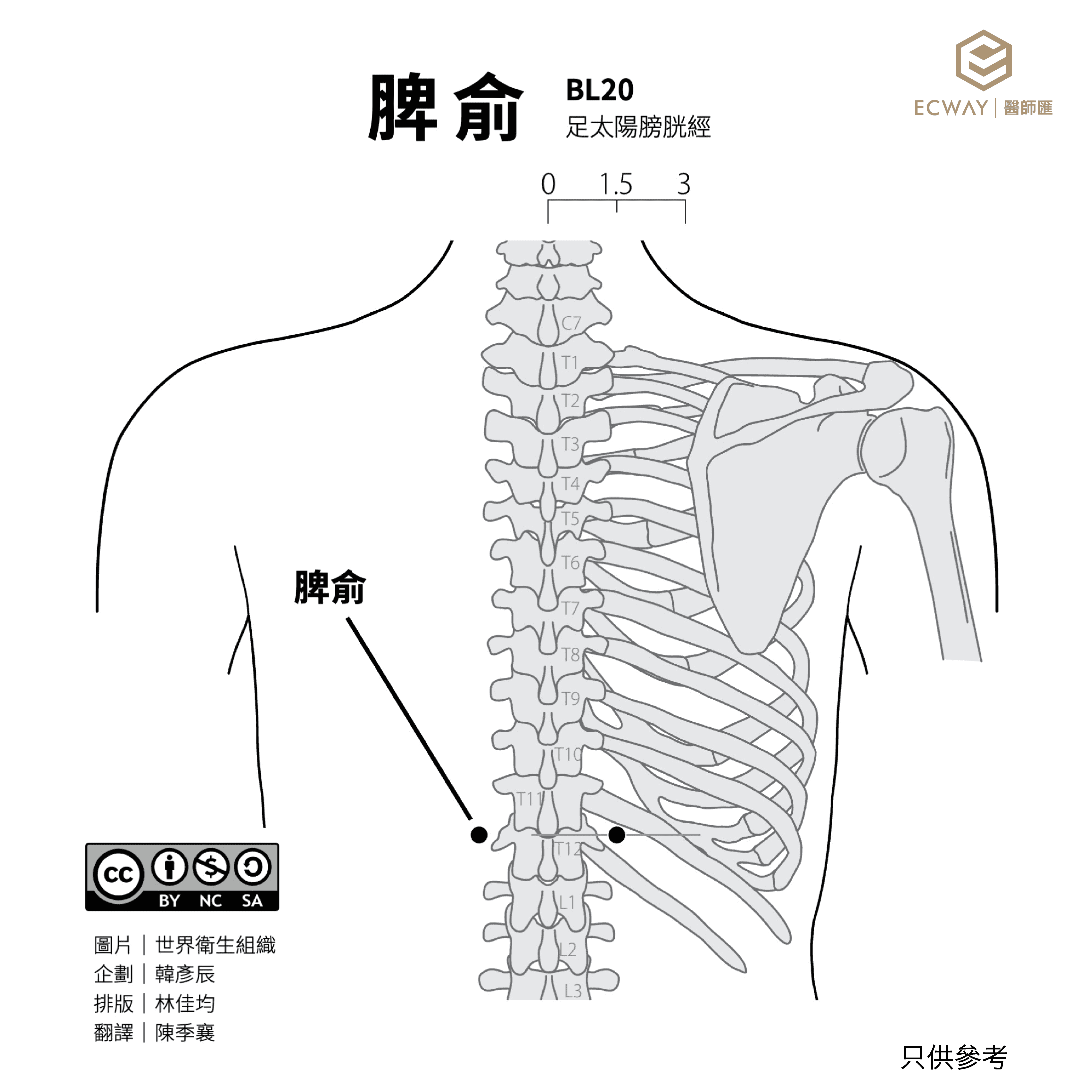 脾俞穴