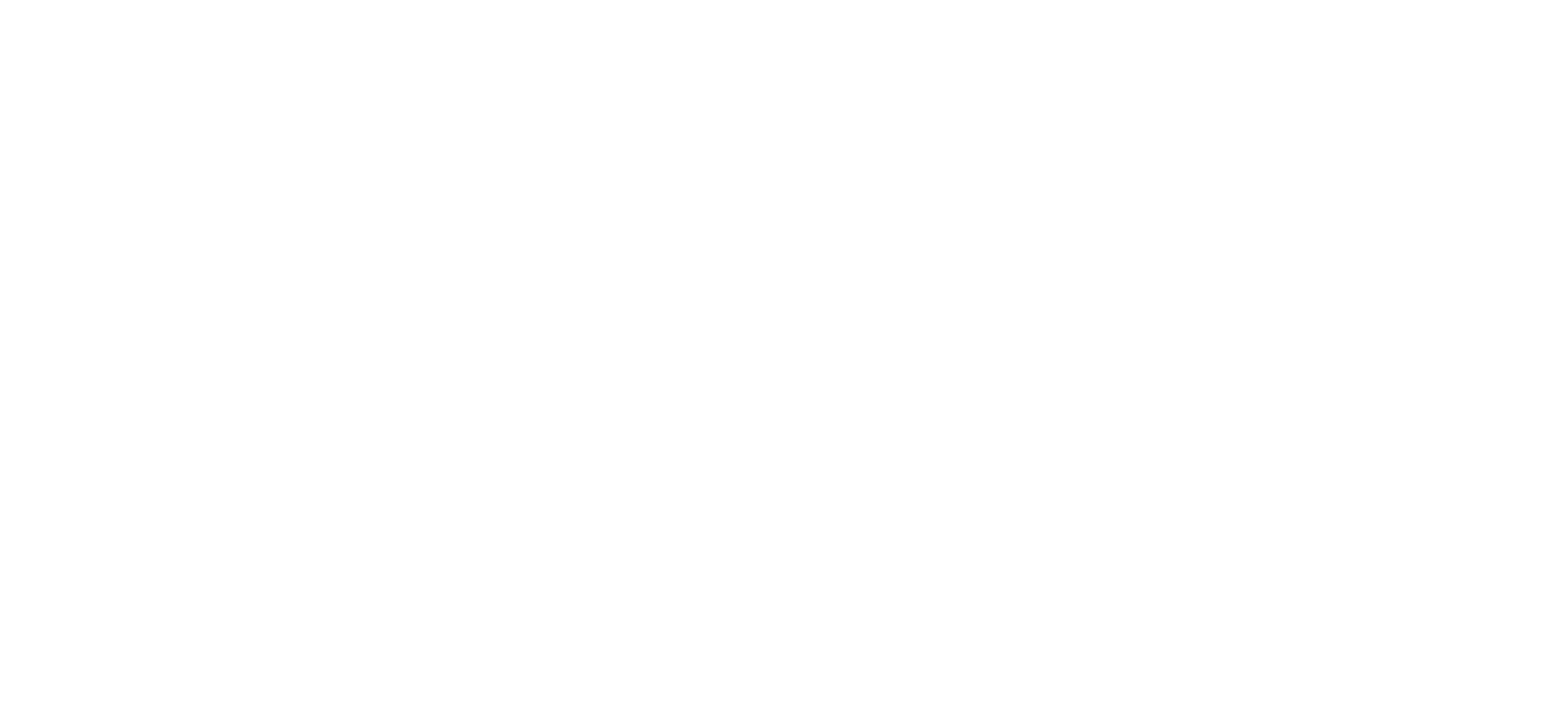 Storyfy Logo