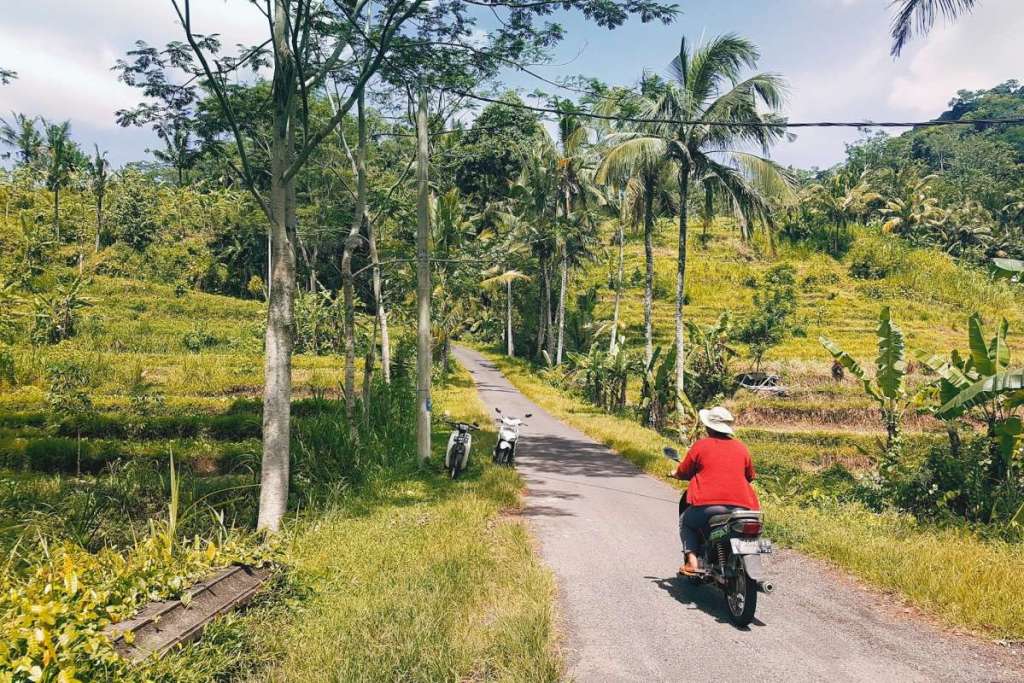 person on scooter, bali