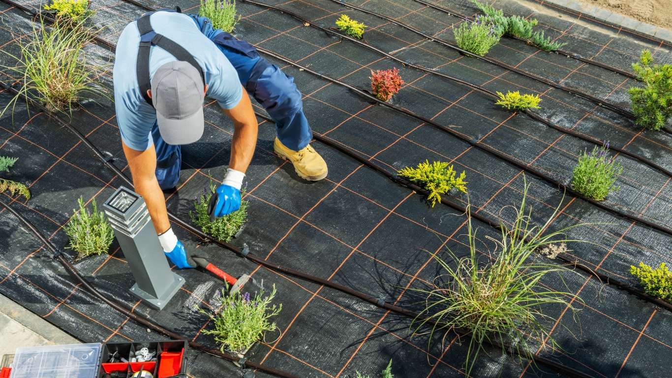 Residential Drip Irrigation Installation