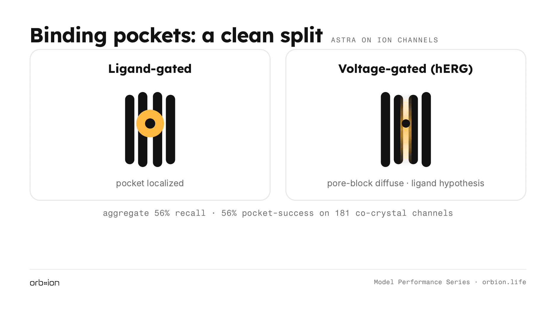 The pocket result splits by biology: localized on ligand-gated channels, diffuse on voltage-gated channels like hERG