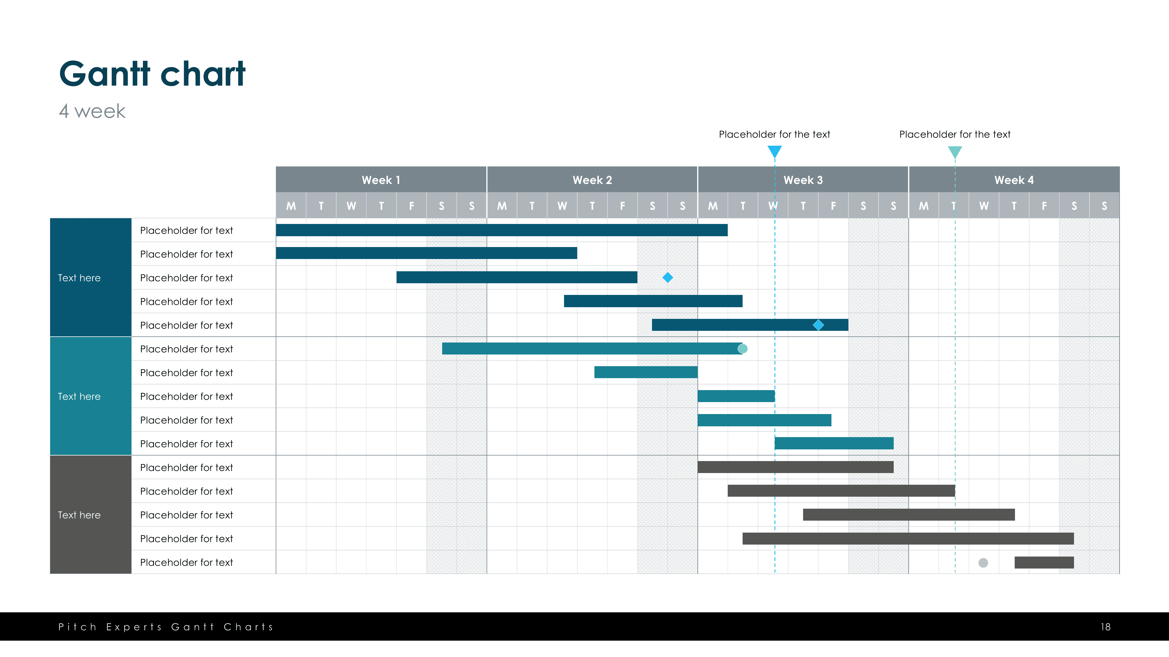 Gantt Chart Template Slide 18