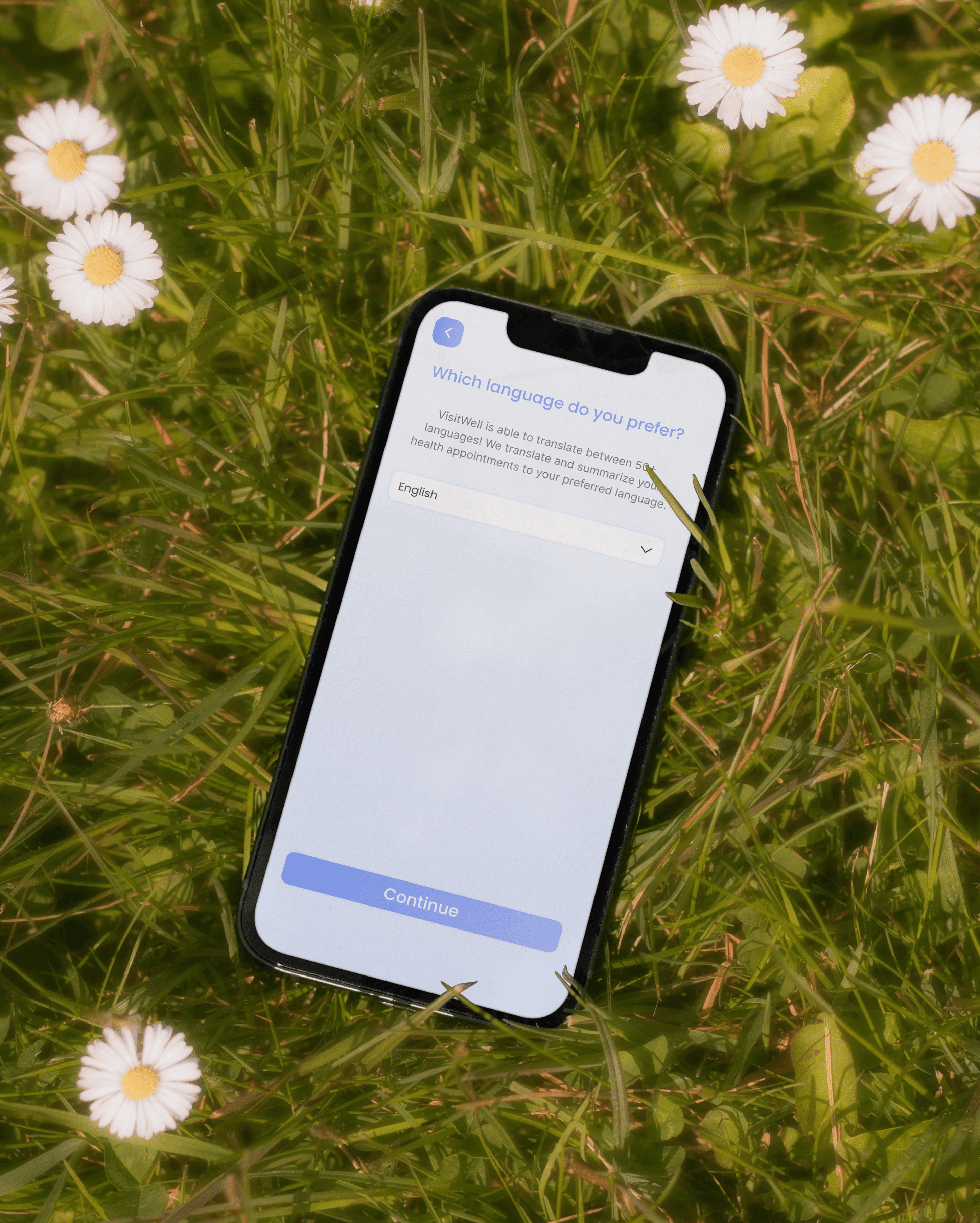 Translation: A clear path to suggested items.