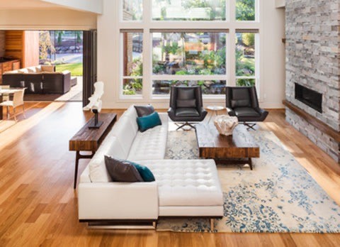 Minimalist living room