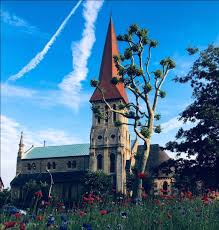 A smiling man with curly hair is sitting at a desk, looking at the camera, with a laptop and a lamp in the background.