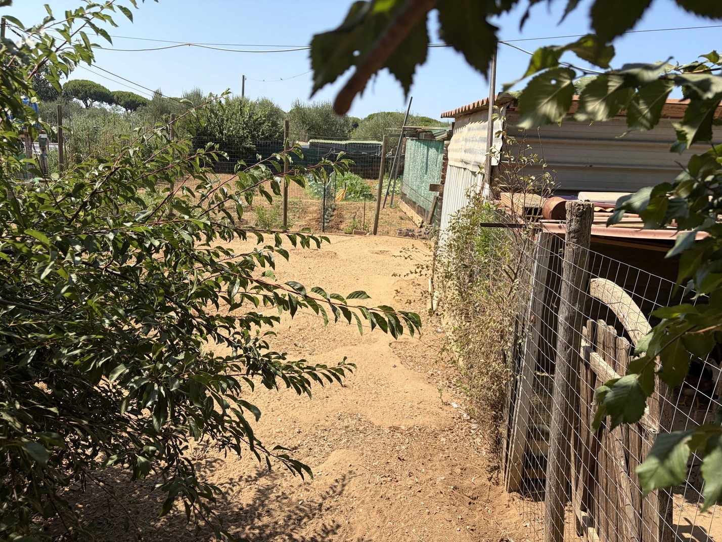 Casale Vista Provenza, Roccatederighi, Maremma Toscana