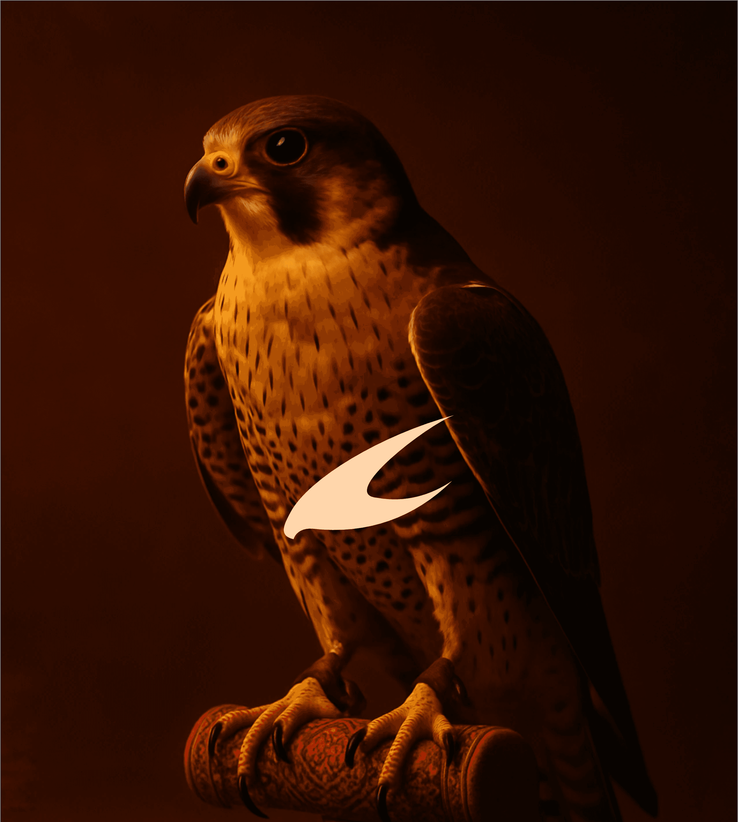 A woman in a helmet with a light trail, suggesting movement or speed in a dynamic outdoor setting.