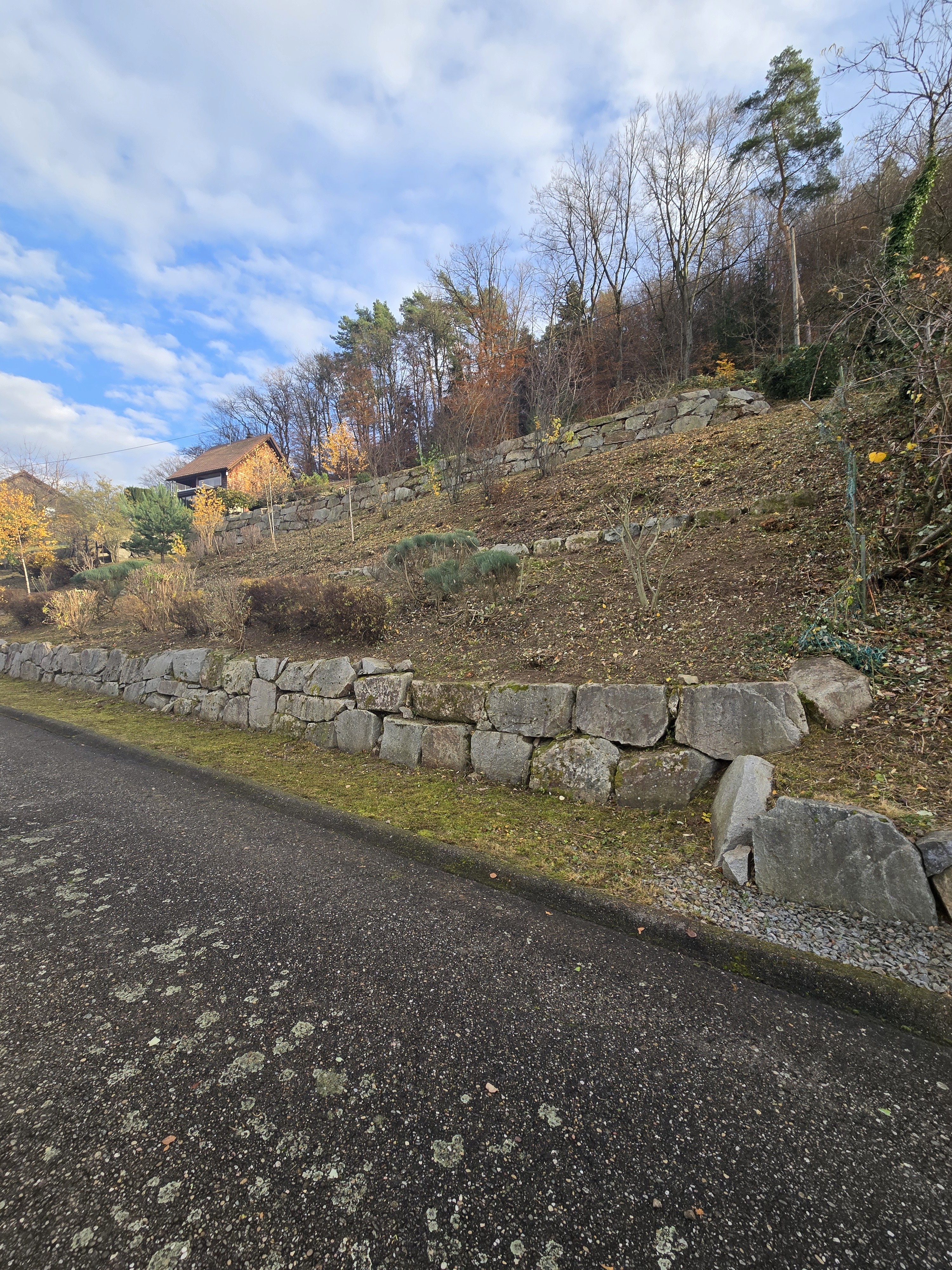 Professional road cyclist riding at the front of a group on a forest road wearing a turquoise racing kit.