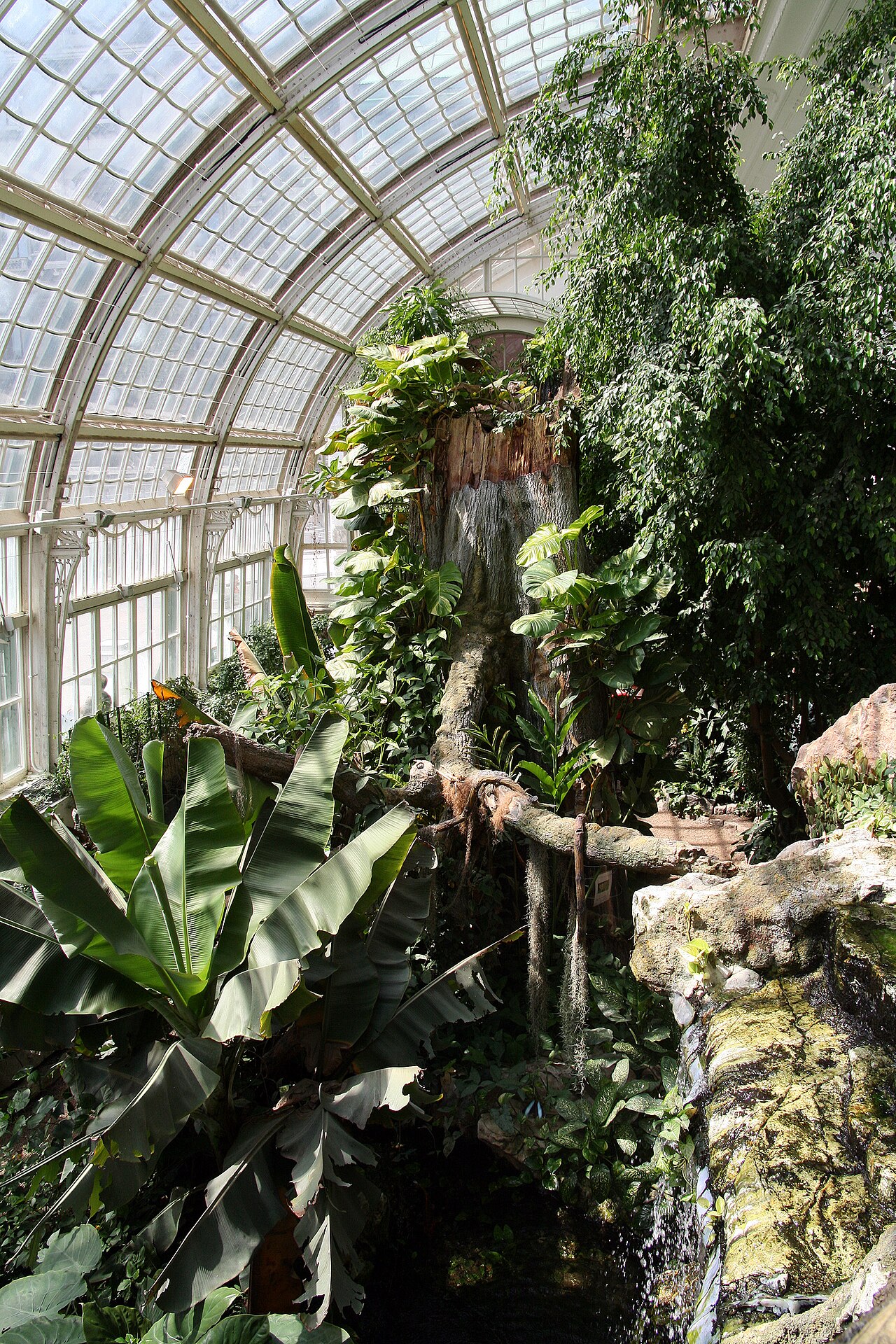 Plants at the Butterfly House, Burggarten Vienna