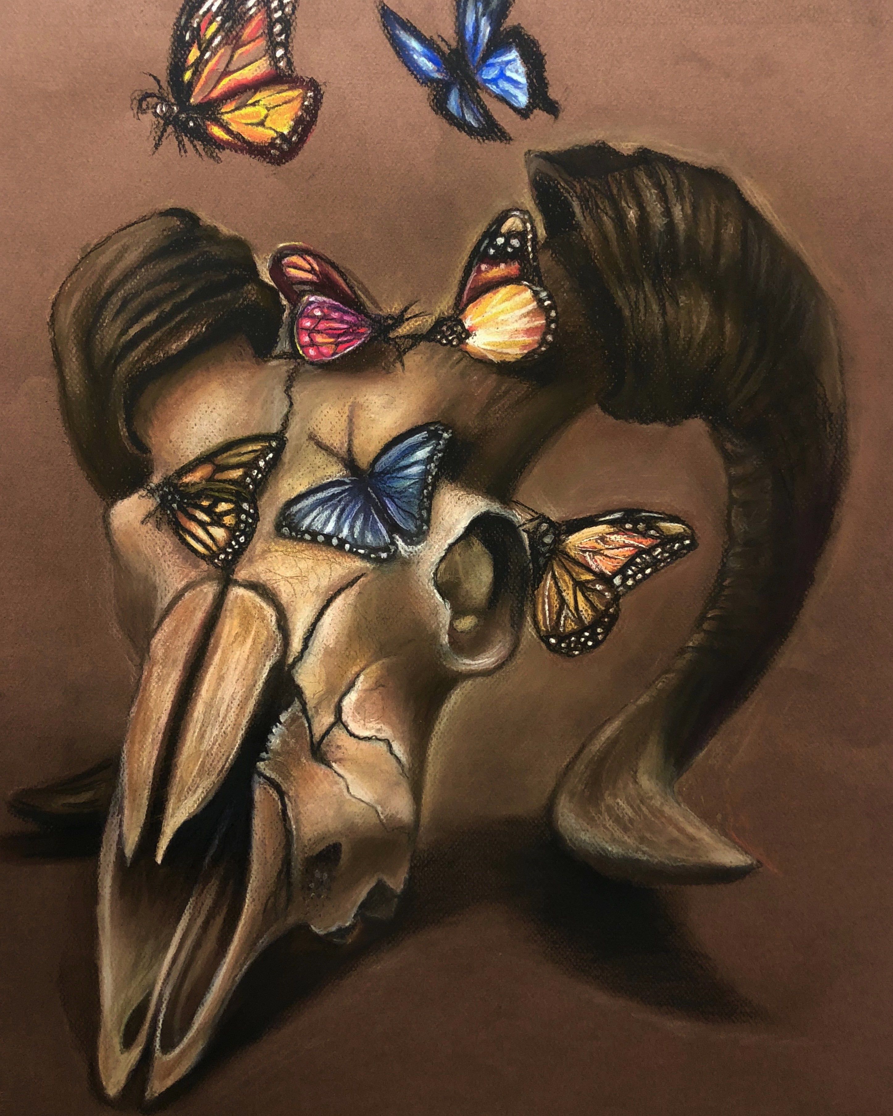 observational / project for elm fork preservation lab 