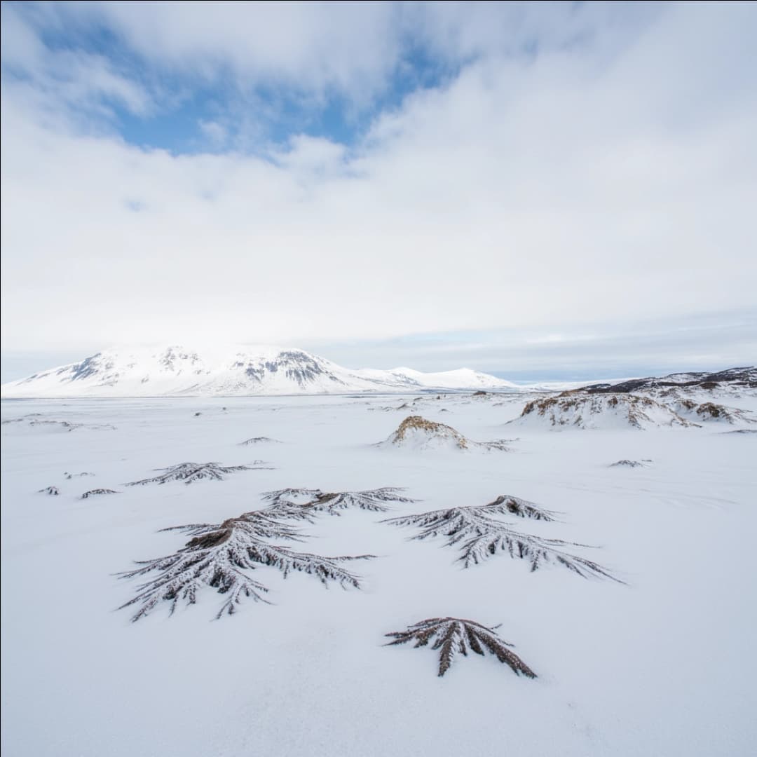 eine weiße schneelandschaft
