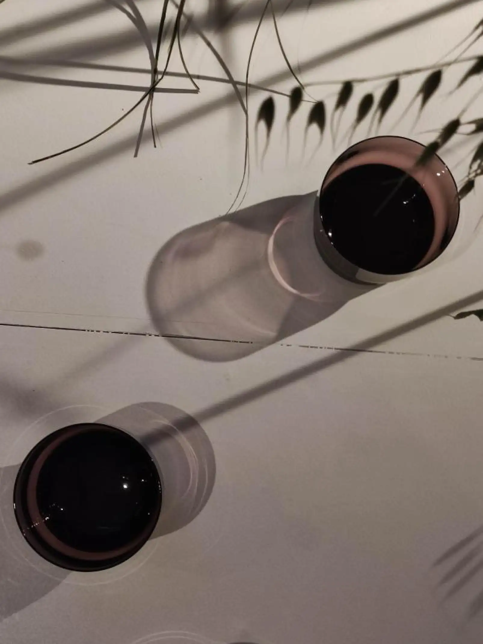 Composición artística de copas con vino y sombras botánicas para proyectos visuales de estética natural y minimalista.