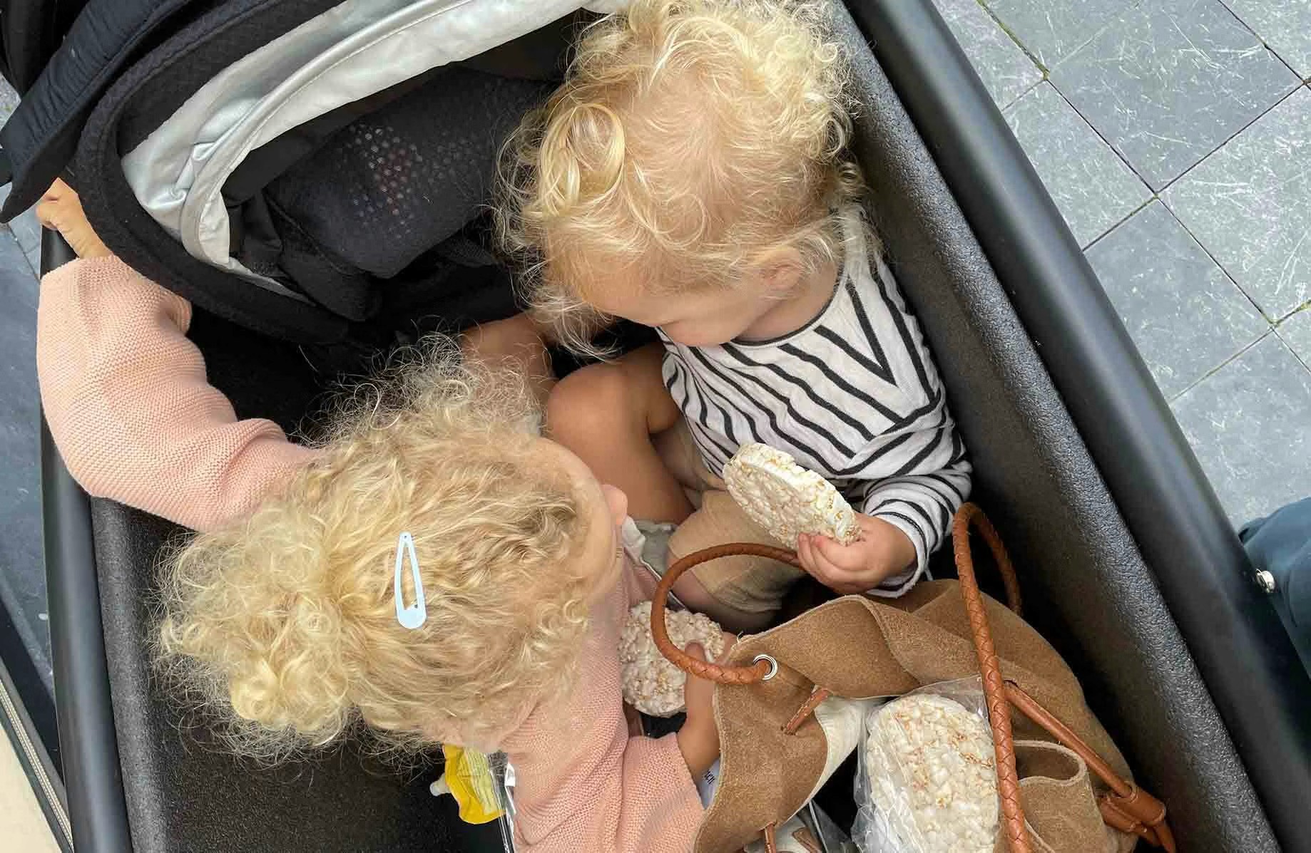 Annabelle and Charly in the cargo bike