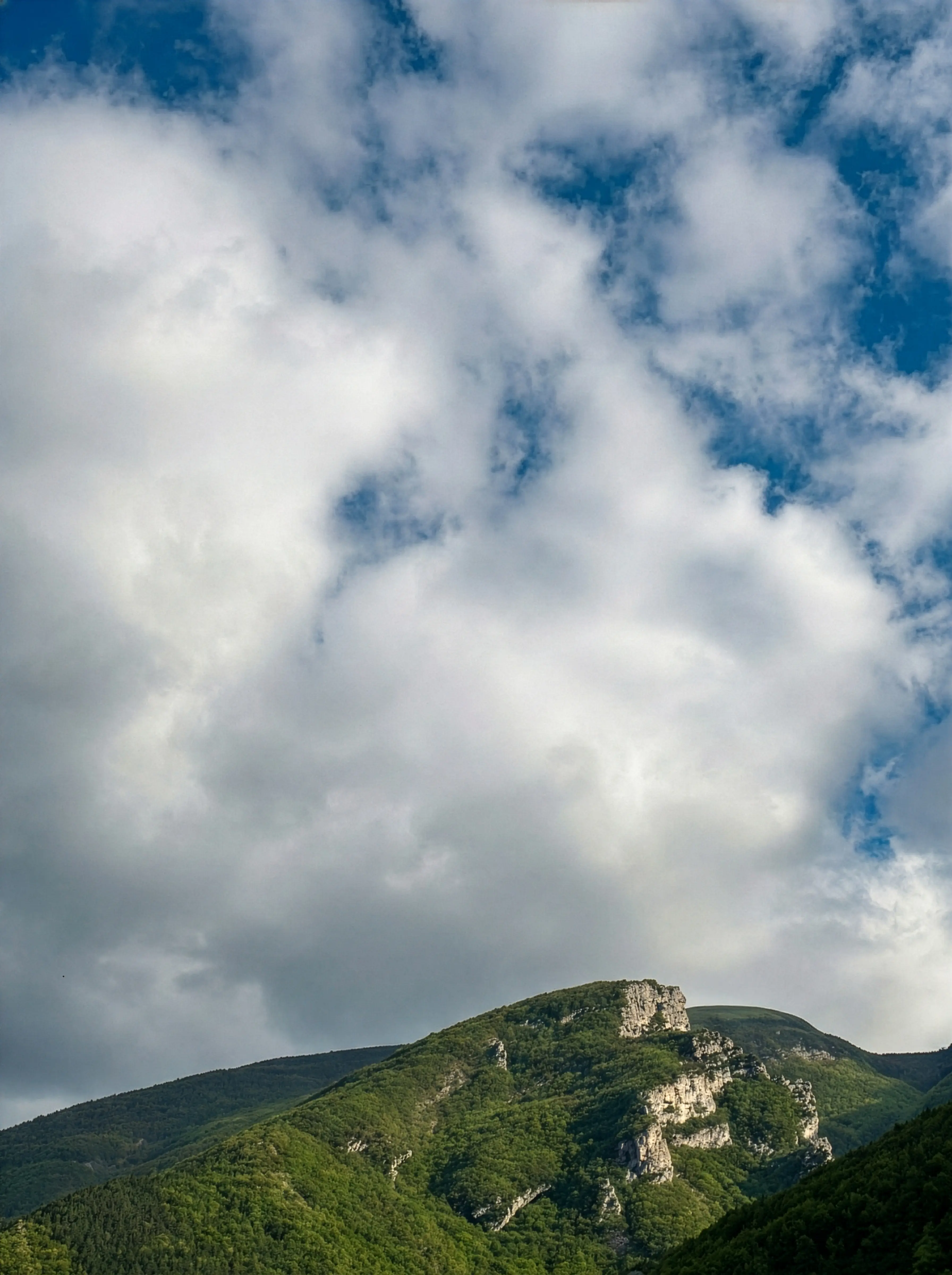  Gemini said A vertical landscape photograph of a lush, green mountain range near Mount Carda in Central Italy under a dynamic sky.  In the foreground and midground, steep mountain slopes are densely covered in vibrant green forests. A prominent, jagged limestone cliff face breaks through the foliage on the right side of the frame, showing pale grey rock formations and rocky outcrops. The peak of the main mountain is rounded and also blanketed in greenery.  The upper two-thirds of the image are dominated by a bright blue sky filled with large, billowing white and grey cumulus clouds. The lighting is natural and bright, suggesting a clear day with moving clouds that cast soft shadows across the verdant landscape.