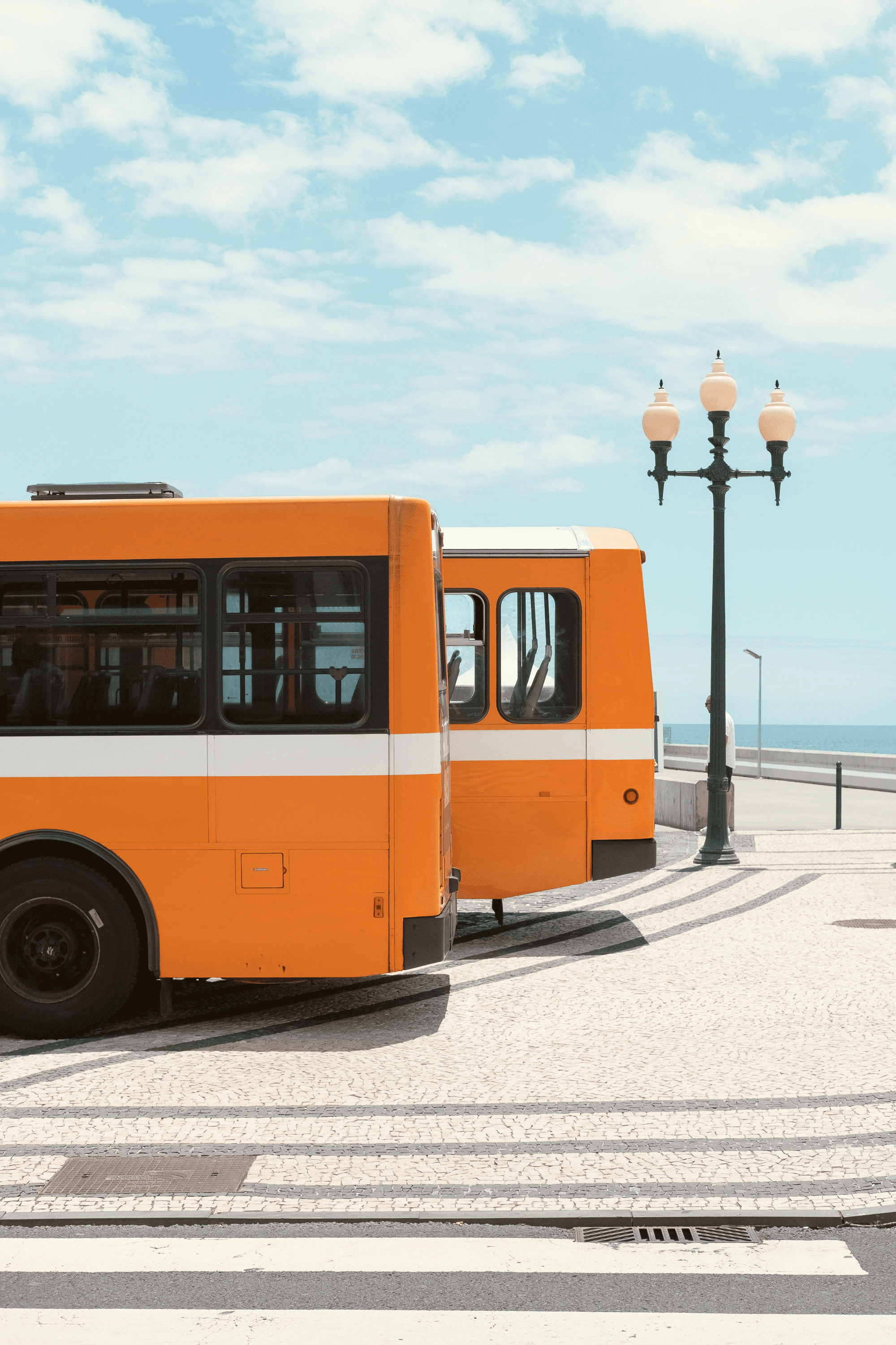 two yellow bus at daytime