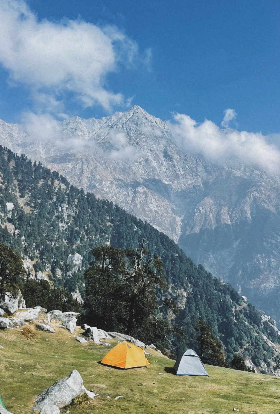 triund trek,  hiking in Hymalayas, 