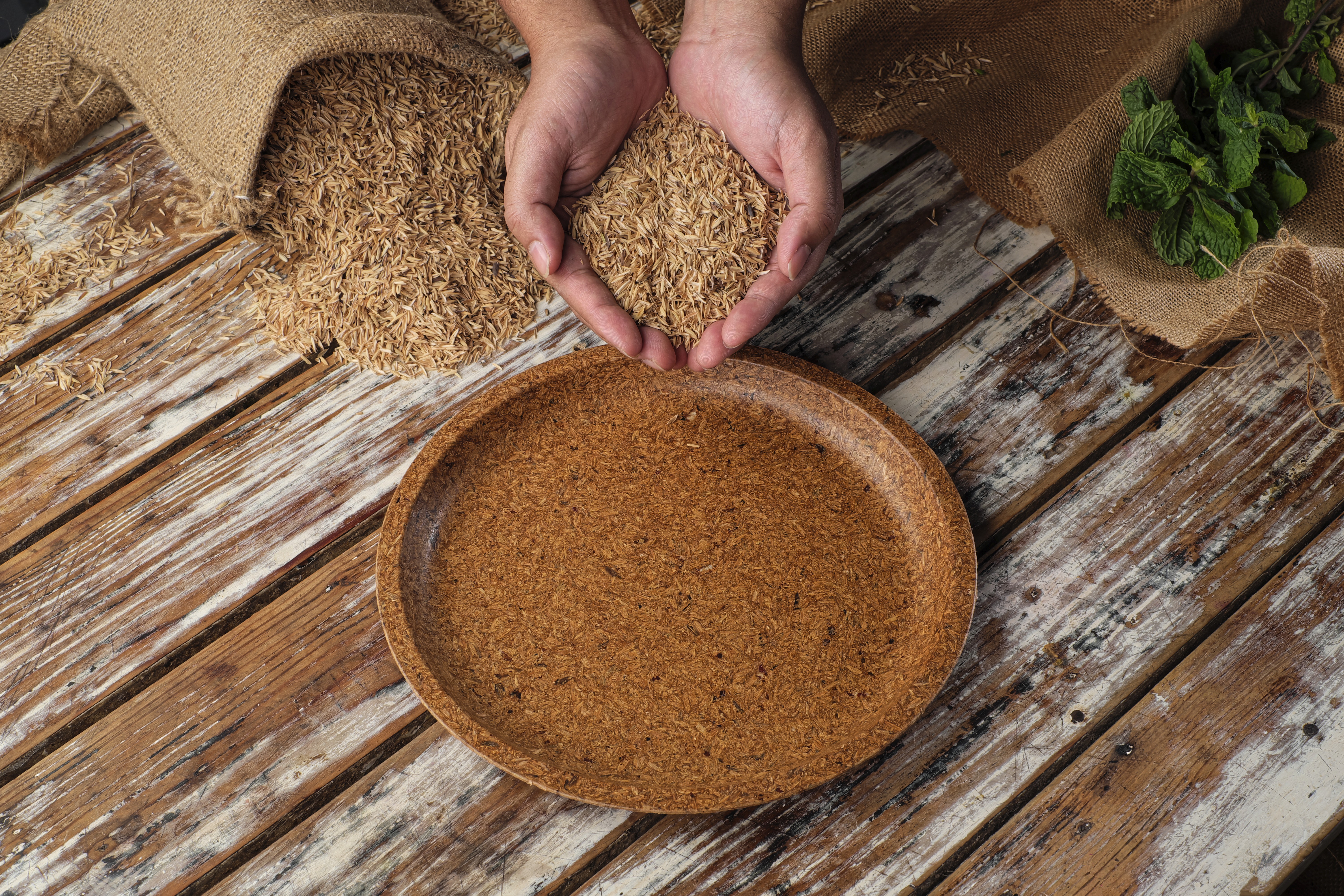 Earth Wing Plate with rice husk