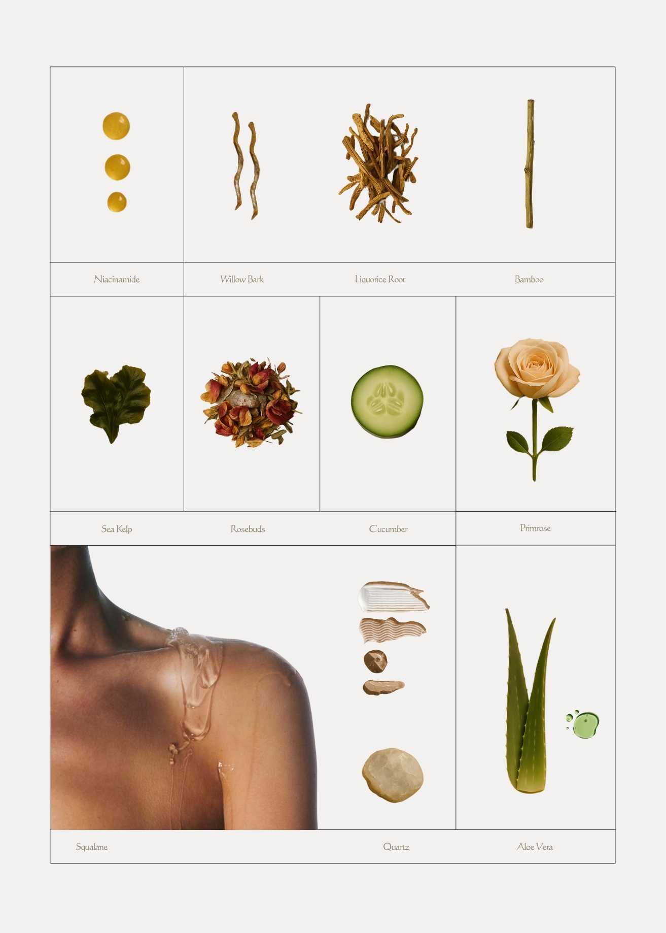 Seasonal skincare ingredient chart displaying botanical extracts, minerals, and natural actives used in Sael’s clean, adaptive formulations.