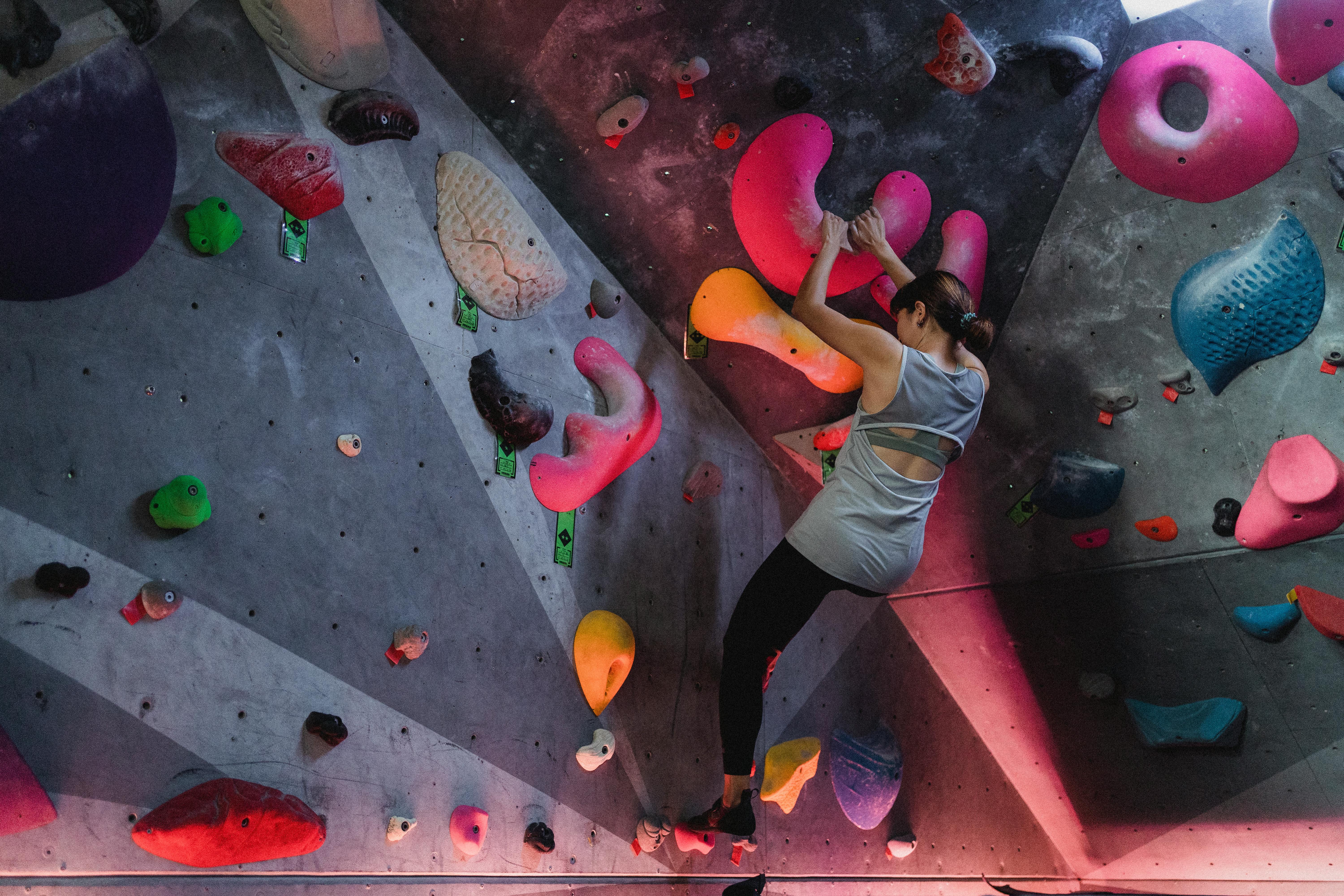 Close-up of lush, dark green leaves, some glossy and wet, against a muted background.