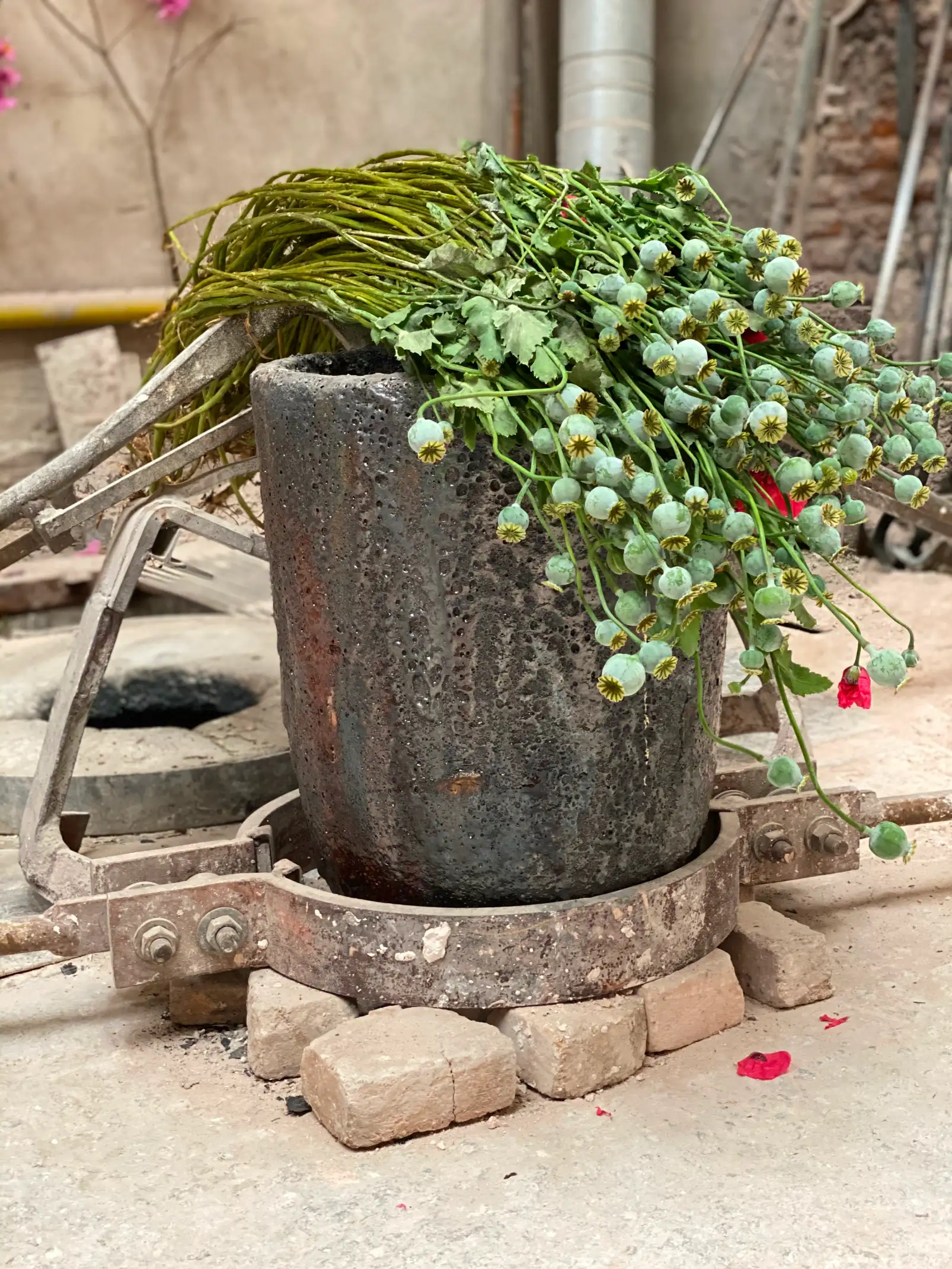 Fotografía artística de flores marchitas en molde industrial para escultores contemporáneos que exploran la relación entre naturaleza y materia.