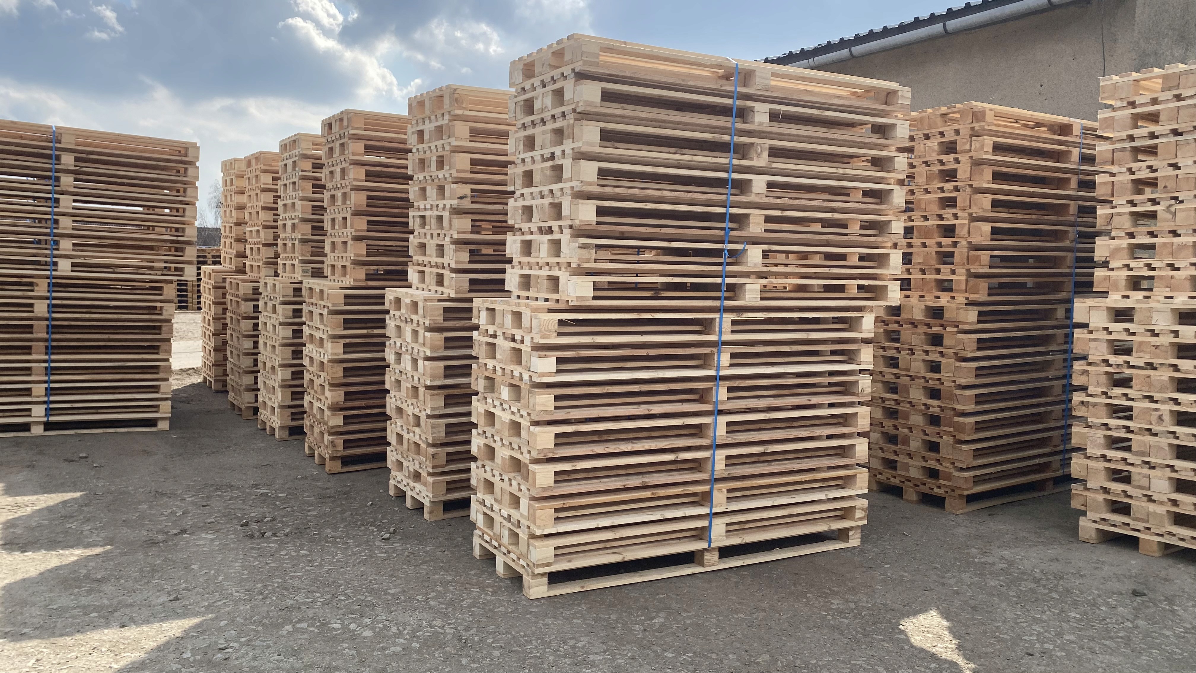 Scientist in laboratorium