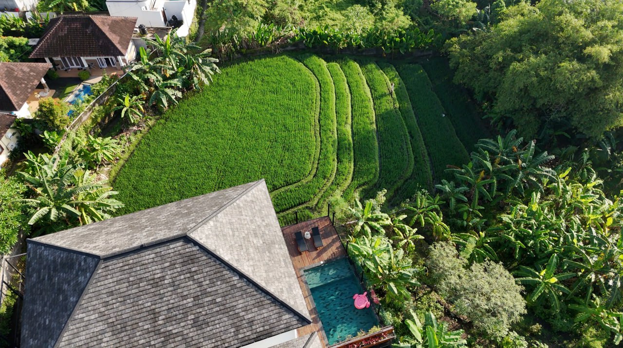 A 4-bedroom villa with a private pool in Canggu