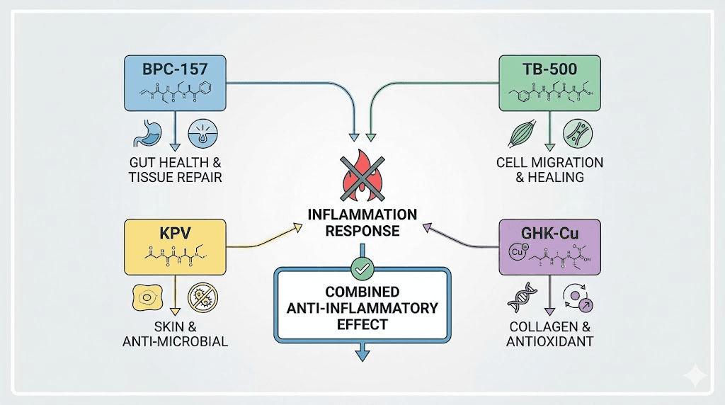 Peptide stacking guide for inflammation showing BPC-157 TB-500 KPV combinations
