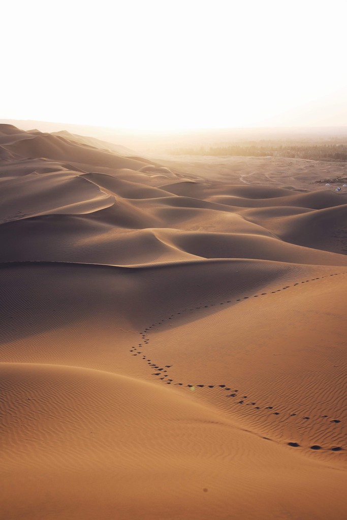 A bright white sky over sand dunes that stretch for miles