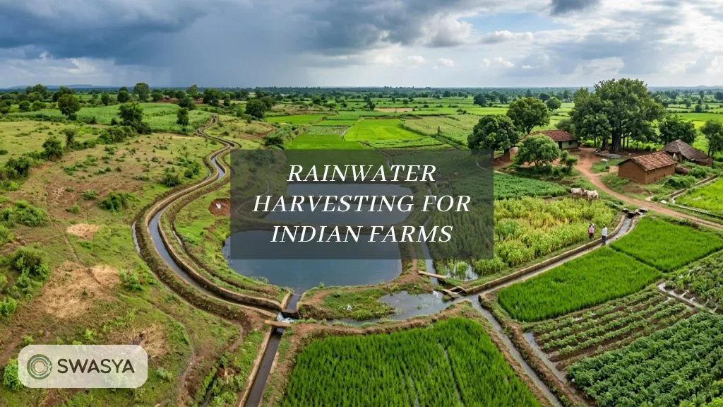 How Rainwater Harvesting Can Help Indian Farms