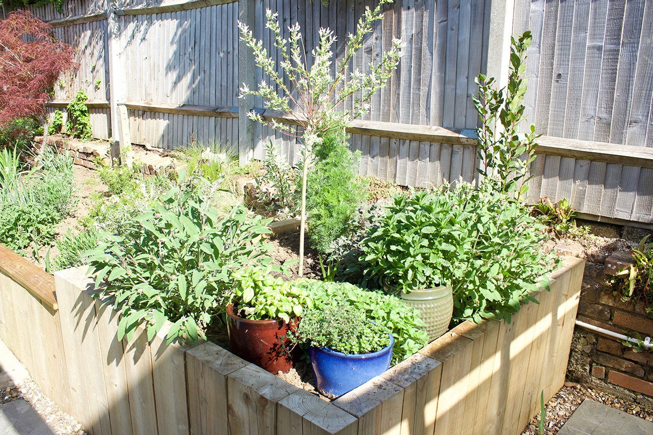 A small garden with various plants growing in containers, surrounded by a wooden fence. Bright and green setting.
