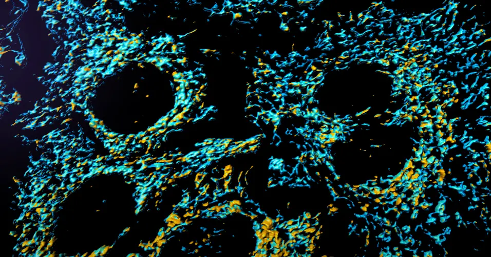 Mitochondria supplements can enhance cellular energy production.