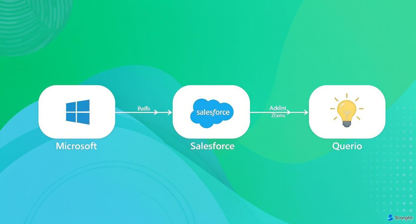 Infographic about business intelligence software comparison