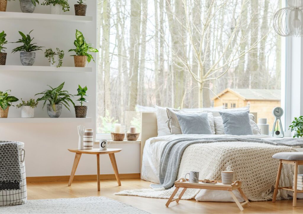 Air-purifying plants ideal for the bedroom