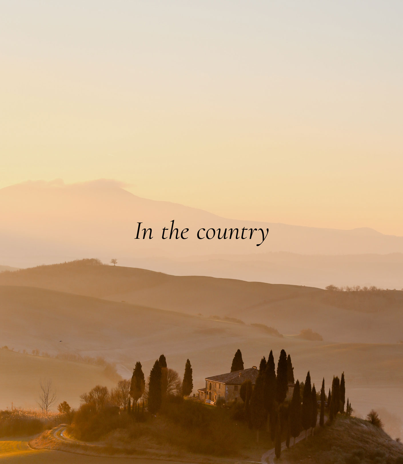 white apple keyboard on white table