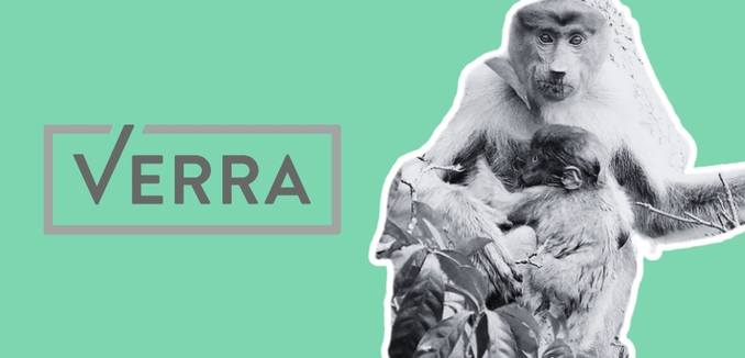 Verra logo and two monkeys