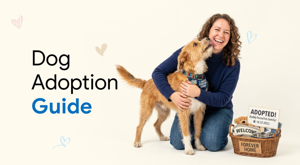 A newly adopted dog is playing with its new owner.