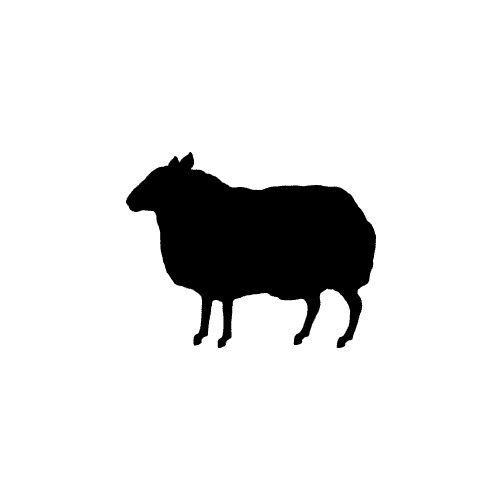 var(--variable-QPpatb5w0)